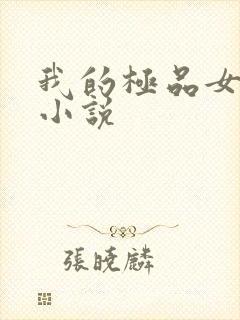 我的极品女老师小说