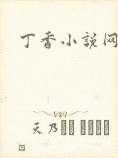 丁香小说网