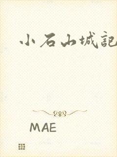 小石山城记