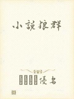 小说狼群