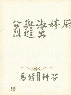 公与淑婷厨房猛烈进出