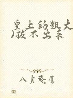 皇上的粗大(h)拔不出来