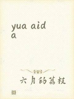 yua aida