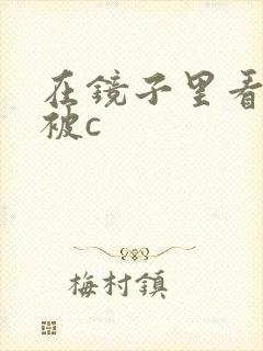 在镜子里看自己被c