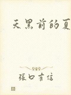 天黑前的夏天
