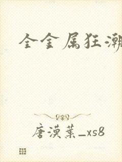 全金属狂潮小说