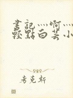 书记灬啊灬啊灬轻点白芸小说