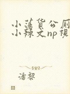 小荡货公厕h文小辣文np视频