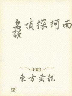 名侦探柯南h小说