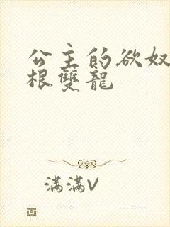 公主的欲奴h四根双龙