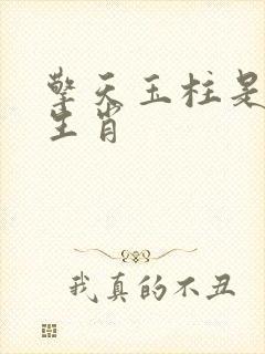 擎天玉柱是什么生肖