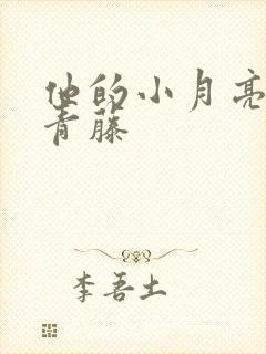 他的小月亮by青藤