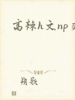 高辣h文np爽