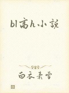 bl高h小说