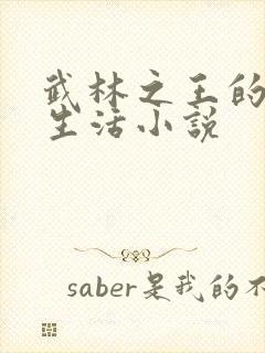 武林之王的退隐生活小说