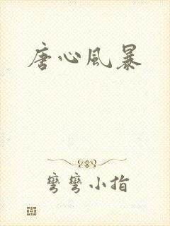 唐心风暴
