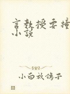 言教授要撞坏了小说