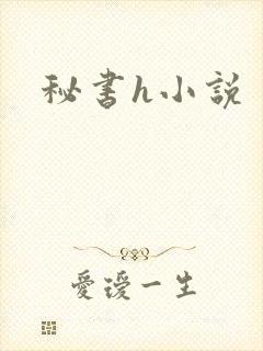秘书h小说