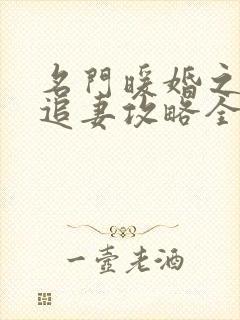 名门暖婚之权爷追妻攻略全文免费阅读