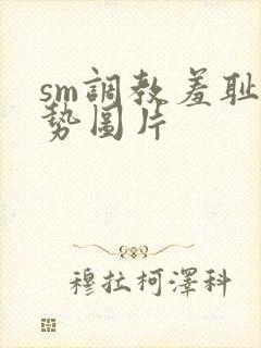 sm调教羞耻姿势图片