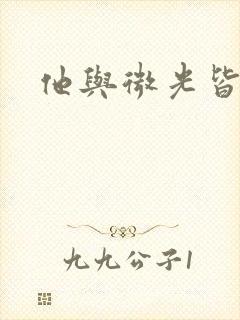 他与微光皆倾城