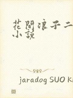 花间浪子二十部小说