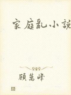 家庭乱小说