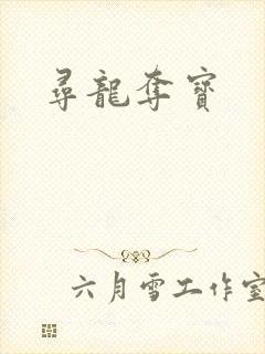 寻龙夺宝