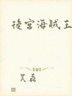 后宫海贼王