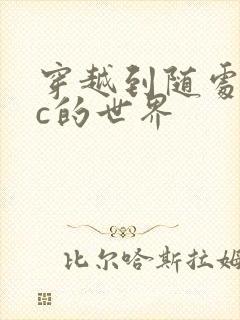 穿越到随处可以c的世界