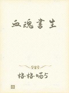 血魂书生