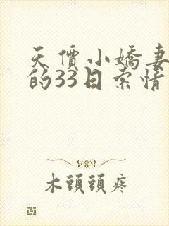 天价小娇妻总裁的33日索情