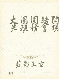 大团圆结闪闪发光亲情会视频