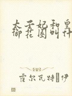 太子妃和皇帝在御花园叫什么小说