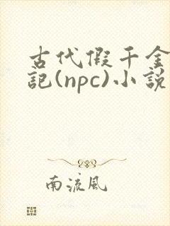 古代假千金挨日记(npc)小说