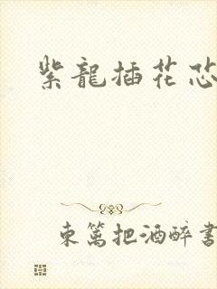 紫龙插花芯方正