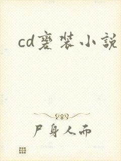 cd变装小说
