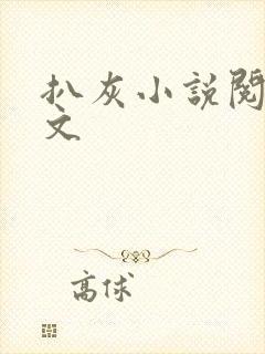 扒灰小说阅读全文