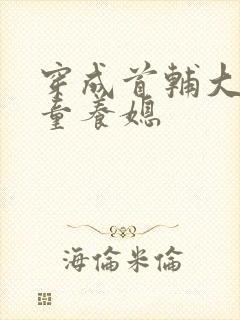 穿成首辅大人的童养媳