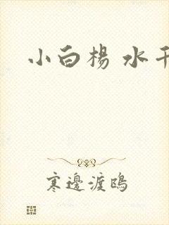 小白杨 水千丞