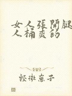 女人张开腿让男人桶爽的