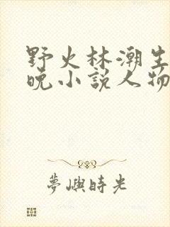 野火林潮生林晚晚小说人物野火