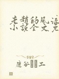 老赵的风流人生小说全文免费阅读