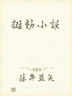挺动小说