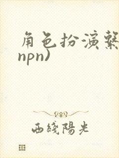 角色扮演系统(npn)