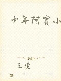 少年阿宾小说