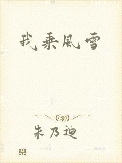 我乘风雪