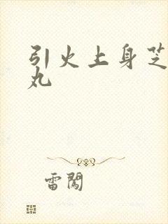 引火上身芝麻糖丸