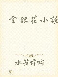 金银花小说乐可