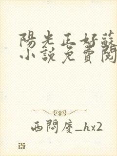 阳光正好苏玥玥小说免费阅读